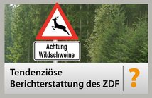 Berichterstattung ZDF