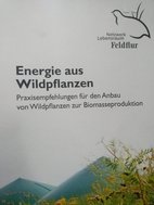 Energie aus Wildpflanzen