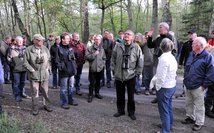 Gespanntes Warten auf die Flötentöne des Pirols.