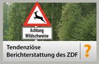 Berichterstattung ZDF