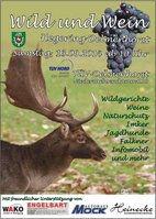 Flyer HG Delmenhorst
