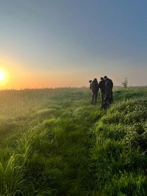 Suche bei Sonnenaufgang