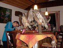 Emsiger Jaegernachwuchs bei der Vogelbestimmung