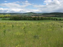 Hegebusch bei Wiebrechtshausen