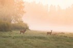 © LJV Baden-Württemberg