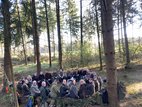 Ein Sammelplatz - das Waldsofa