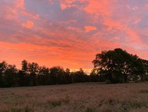 Morgenröte              (Bild: B. Neuhaus-Eden)