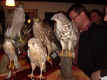 Besondere "Voegel": Heiner Buesselmann (stellv. Hegeringleiter) und Claus Coorssen (Eigentuemer der Jagdhuette) bei der Bestimmung