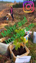 Besuche und auf Instagram